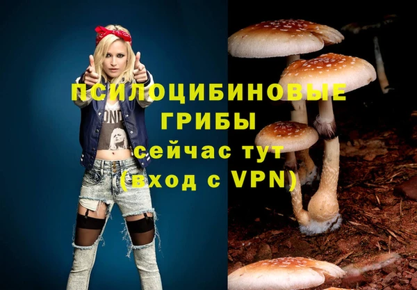 ALPHA PVP Вязьма