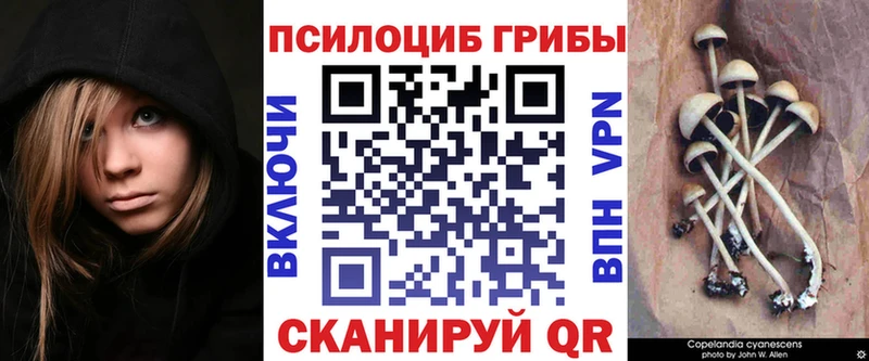Купить где  Кузнецк  Галлюциногенные грибы Magic Shrooms 